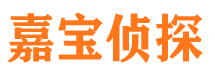 肥城市私家侦探